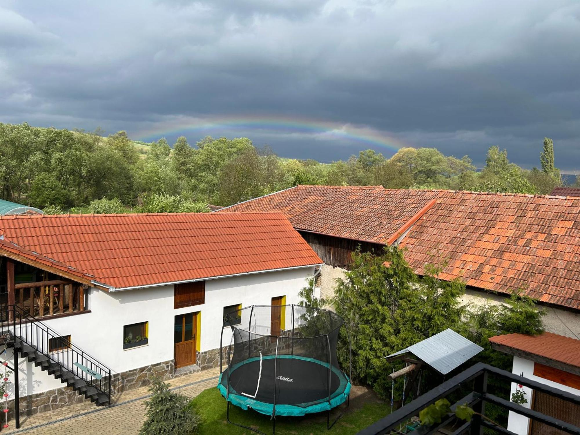 Casa "La Moara Din Gradina" Hotel Eftimie Murgu Екстериор снимка