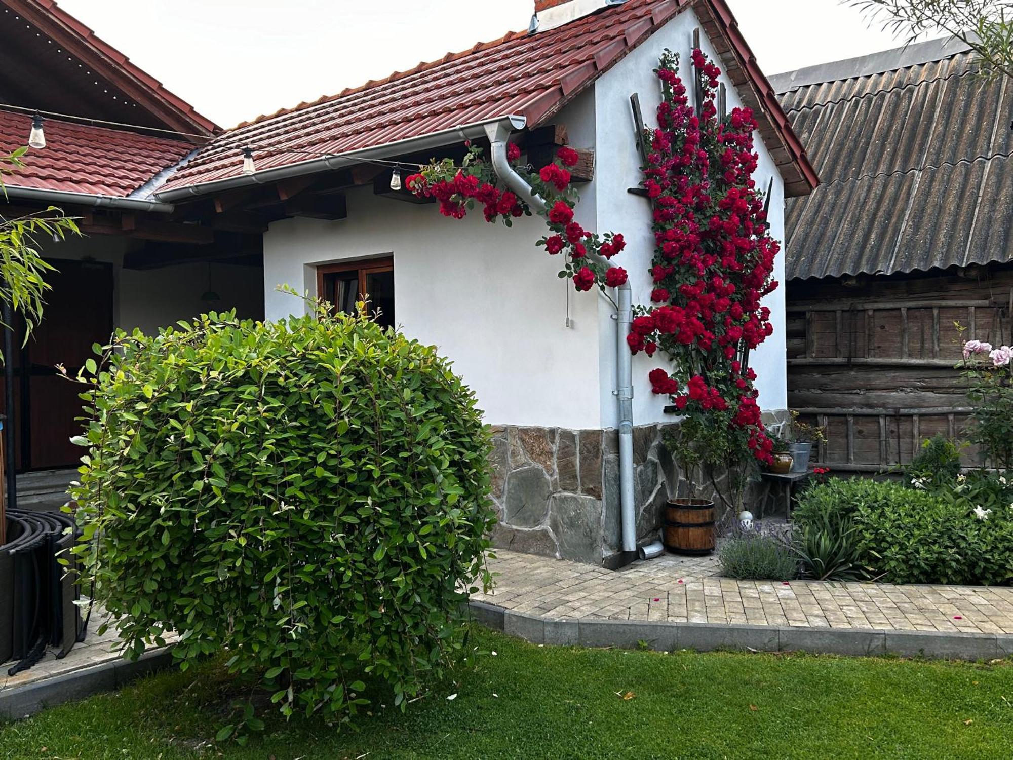 Casa "La Moara Din Gradina" Hotel Eftimie Murgu Екстериор снимка