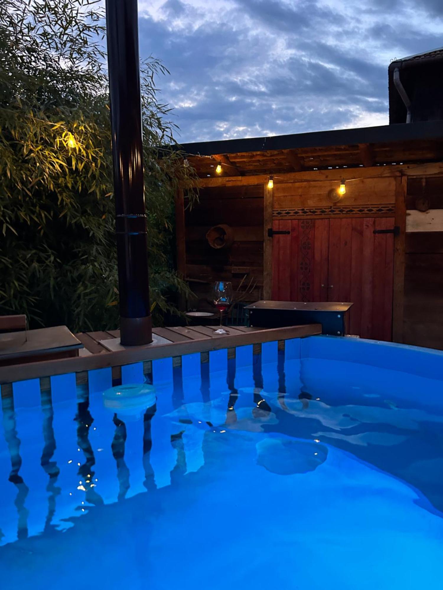 Casa "La Moara Din Gradina" Hotel Eftimie Murgu Екстериор снимка
